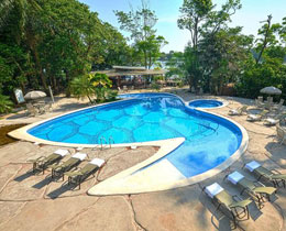Pachira Tortuguero