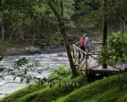 Rios Tropicales Lodge