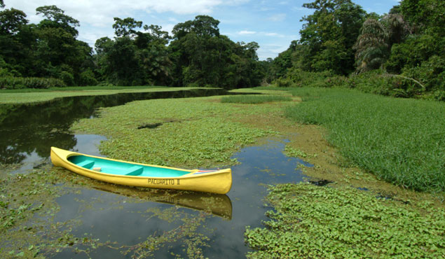 Tortuguero Costa Rica