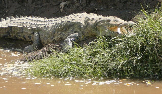 National park