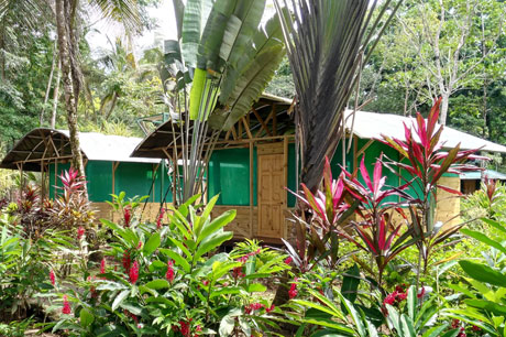 Tortuguero Costa Rica