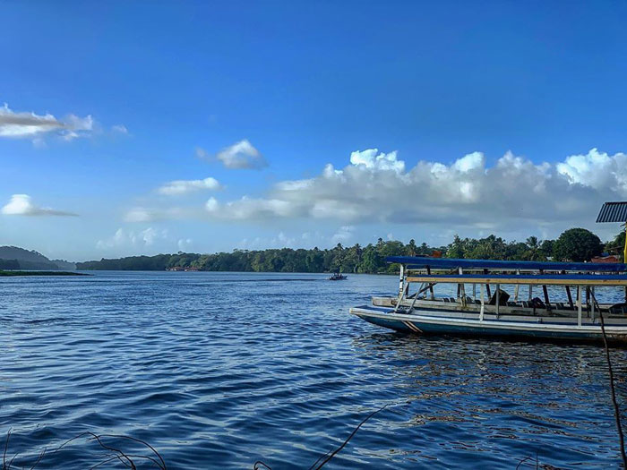  Tortuguero 