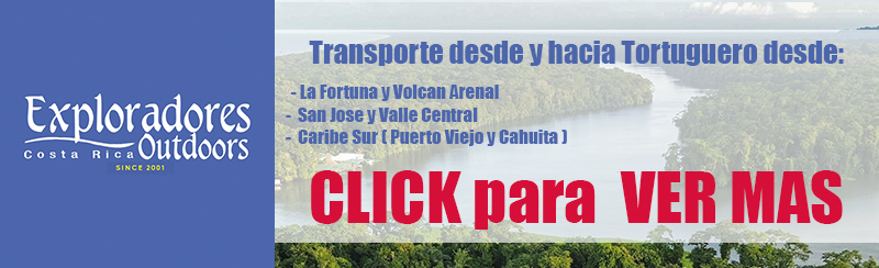 Transportation